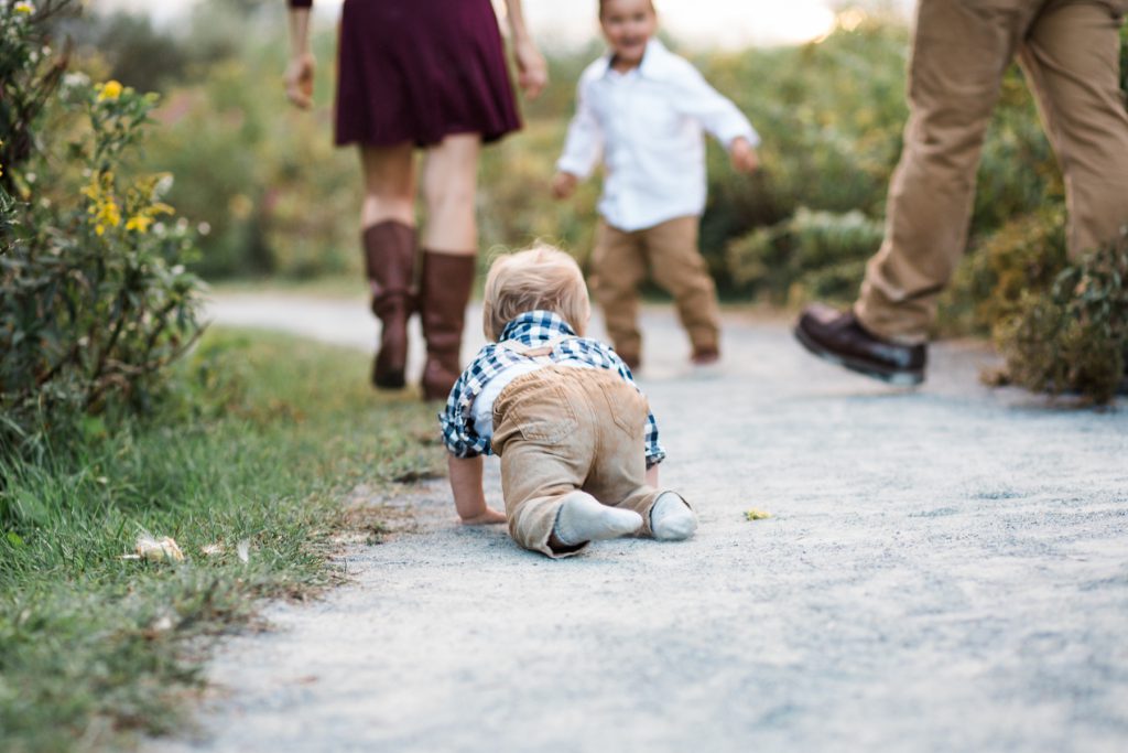 family photography, natural light, brothers, toddler