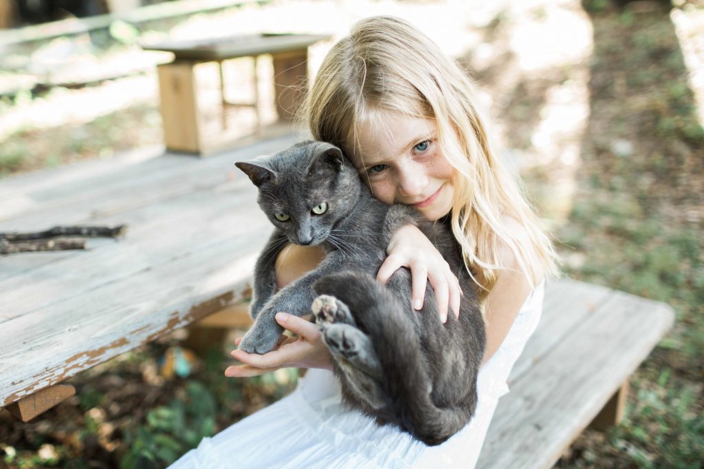 family photography, daughter, cat, natural light